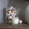 Back to Happiness Refillable Candle: 300ml