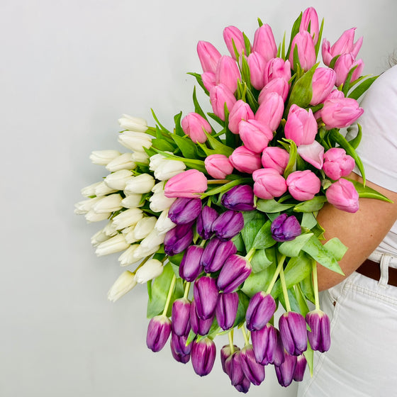 Mixed Tulip Bunch | Spring Flowers